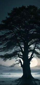 Silhouette of a large tree against a full moon in a serene night landscape.