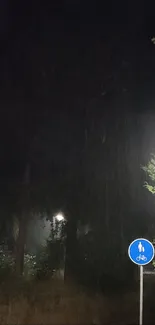 Nighttime rain scene with a lit path and greenery.