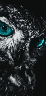 Close-up of owl with striking blue eyes in a dark setting.