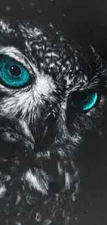 Owl with vibrant blue eyes on a black background.