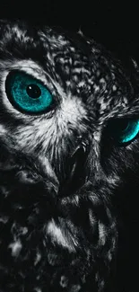 Owl with glowing teal eyes in a dark setting, creating a mysterious ambiance.