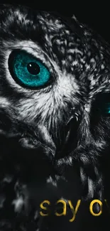 Owl with striking teal eyes on dark background.