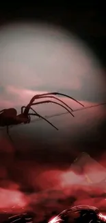 Silhouette of a spider in red moonlight with a web.