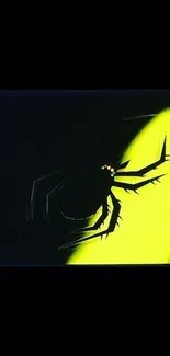 Silhouette of a spider in dark contrast with yellow background glow.