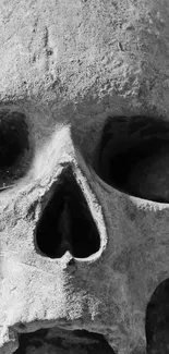 Close-up of a mysterious stone skull with intricate texture.