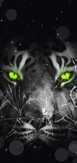 Black and white tiger with bright green eyes.