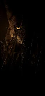 Mysterious wild animal in dark shadows, captivating nature mobile wallpaper.