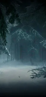 Dark and snowy winter forest scene, serene and mysterious.
