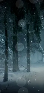 Mysterious winter forest with snow-covered trees.