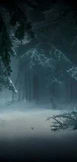 A dark, snowy forest path in winter ambiance.