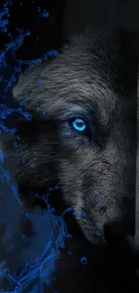 A wolf face with a strikingly blue eye in dark tones.