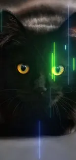 Black cat with green neon accents.