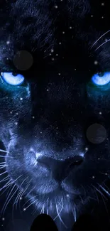 Close-up of a black panther with blue eyes and a starry night background.