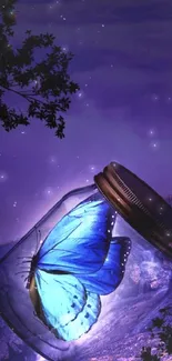 Blue butterfly in a jar with twilight background.