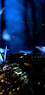 Mystic blue butterflies in a forest scene.