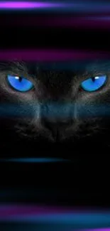 Black cat with striking blue eyes on a dark background.