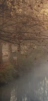 Misty autumn forest with a river reflecting fall colors.