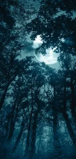 Mystic forest under the moonlit sky with dark silhouettes of trees.