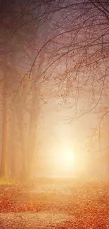 Misty forest path with autumn leaves and warm sunlight.