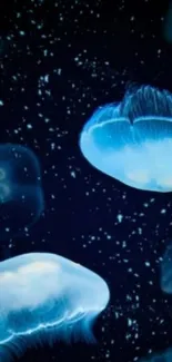 Blue jellyfish floating against dark ocean background.