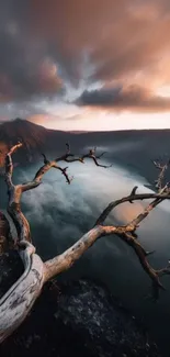 Dramatic sunset over lake with solitary tree branch.