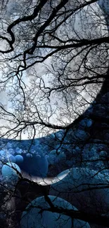 Mystical forest scene with moonlit night and tree silhouettes.