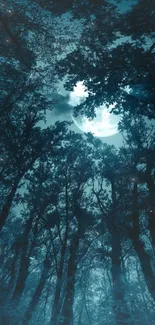 Moonlit forest scene with dark teal hues and silhouetted trees.