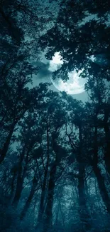 Mystic moonlit forest with tall trees and glowing sky.