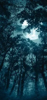 Mystic moonlit forest with a full moon.