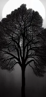 Silhouette of a tree with a full moon in the background, creating a mystical effect.