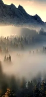 Foggy mountain and forest landscape wallpaper.