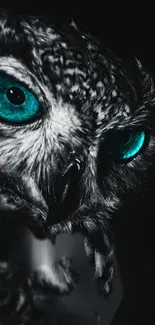 Mystic owl with vivid blue eyes on a dark background, perfect for phone wallpaper.