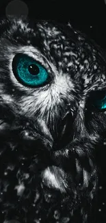 Black and white owl image with vibrant teal eyes for mobile wallpaper.