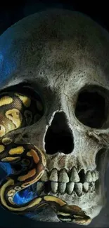 Dark skull with snake mobile wallpaper in eerie colors.