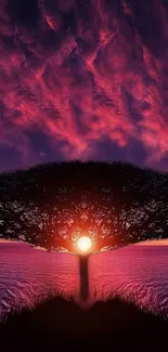 Mystic sunset sky behind a silhouette tree.