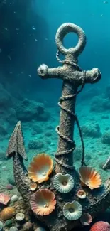 Underwater vintage anchor with surrounding seashells.