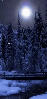 Snowy forest at night with a full moon illuminating the scene.