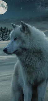 Lone wolf in a moonlit snowy landscape under a starry sky.