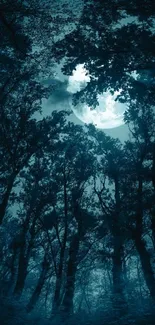 Moonlit forest night with blue hues and silhouetted trees.