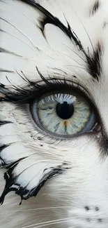 Close-up of a mystical cat eye with artistic feather details.