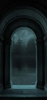 Stone archway leading to a dark, misty forest under a night sky.