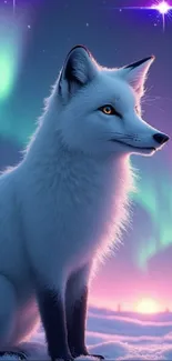 Arctic fox under aurora borealis