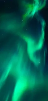 Green aurora borealis lights dance in a starry night sky.