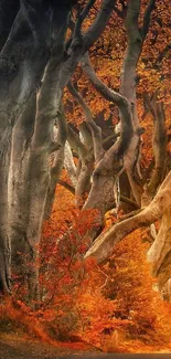 Mystical autumn forest path with vibrant orange foliage.