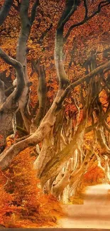 A mystical autumn forest path with vibrant orange foliage.