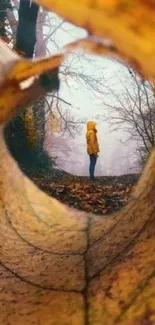 Mystical autumn forest view through fallen leaves on mobile wallpaper.