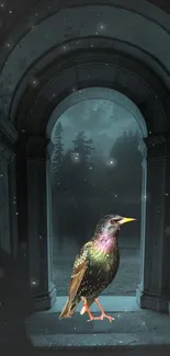 Vibrant starling in a moonlit archway setting.