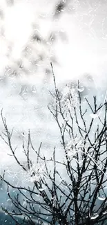 Silhouetted bird resting on a tree against a blue-grey sky.