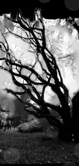 Mystical black and white tree wallpaper for mobile phones.