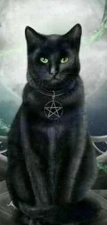 Mystical black cat with a pentagram pendant under a glowing moon.